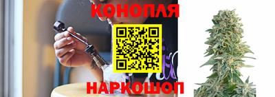 мяу мяу мука Беслан