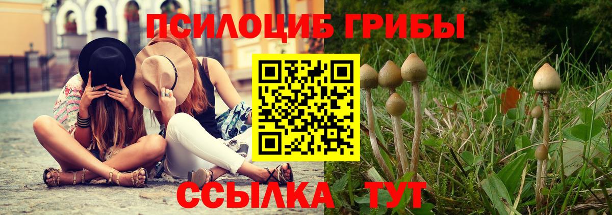 где можно купить наркотик  Вход с VPN  Зима  Псилоцибиновые грибы ЛСД 